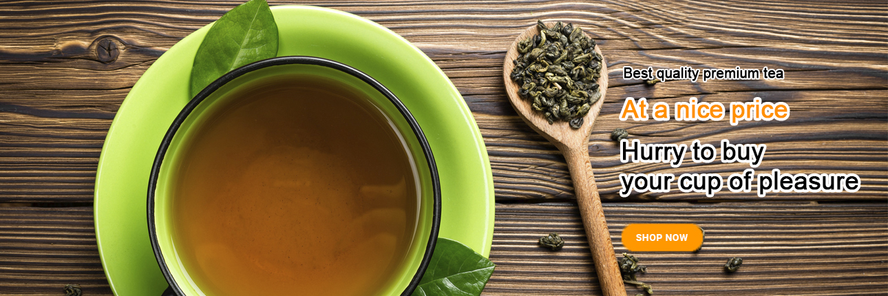 title_693dbb53745df17190702611765653331